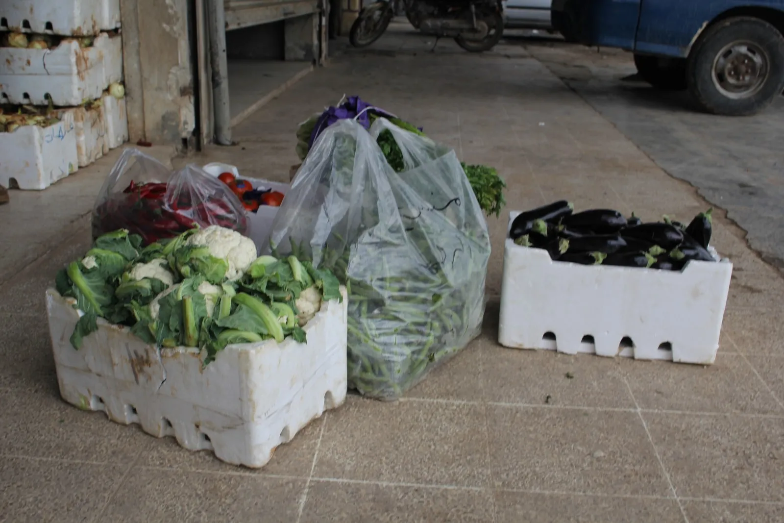 The displaced from Afrin abide by guidelines to prevent Coronavirus