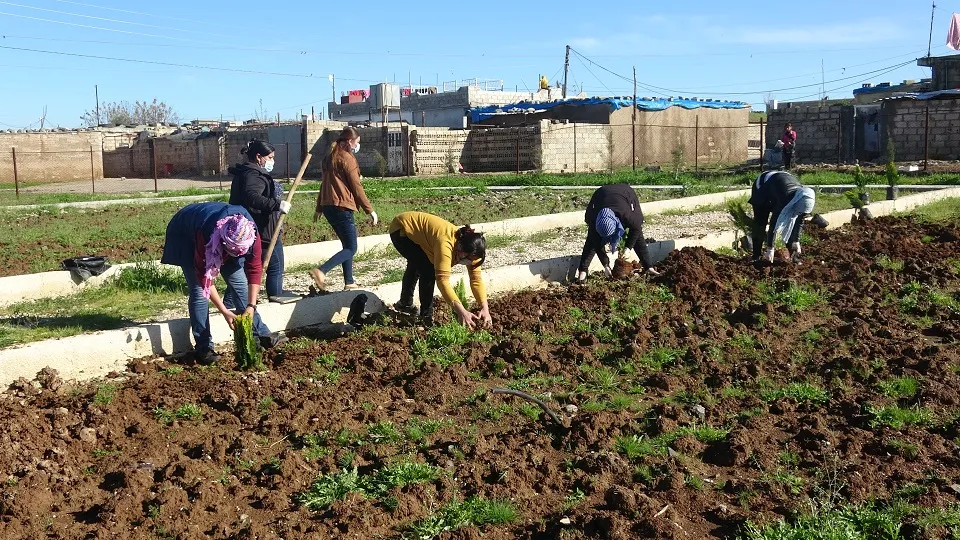 On leader Ocalan's birthday, trees planted in Dêrik