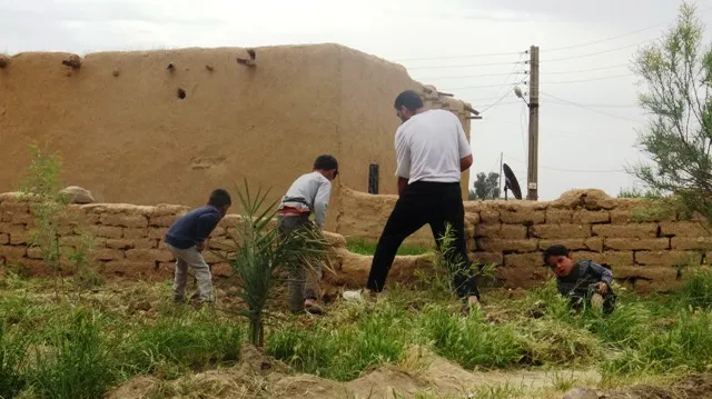 They take advantage of curfew period by growing home vegetables