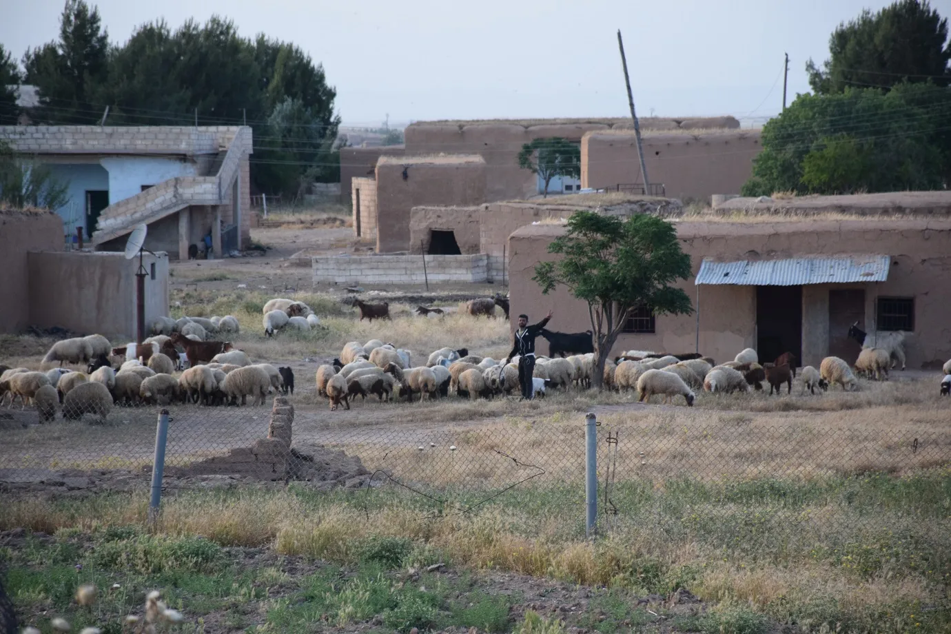 Tel-Tamr villagers: Turkey burns our crops, when trying to extinguish it