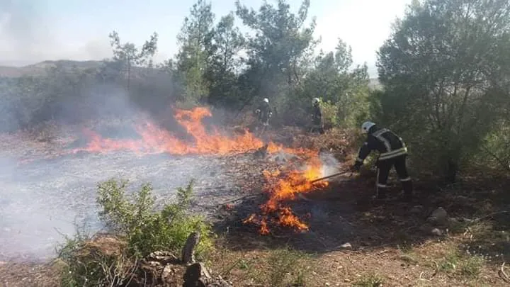 Turkish occupation’s mercenaries burn forest trees in Janders