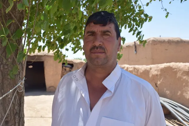 Daylight robberies ... mercenaries steal livestock from Tel Tamr countryside
