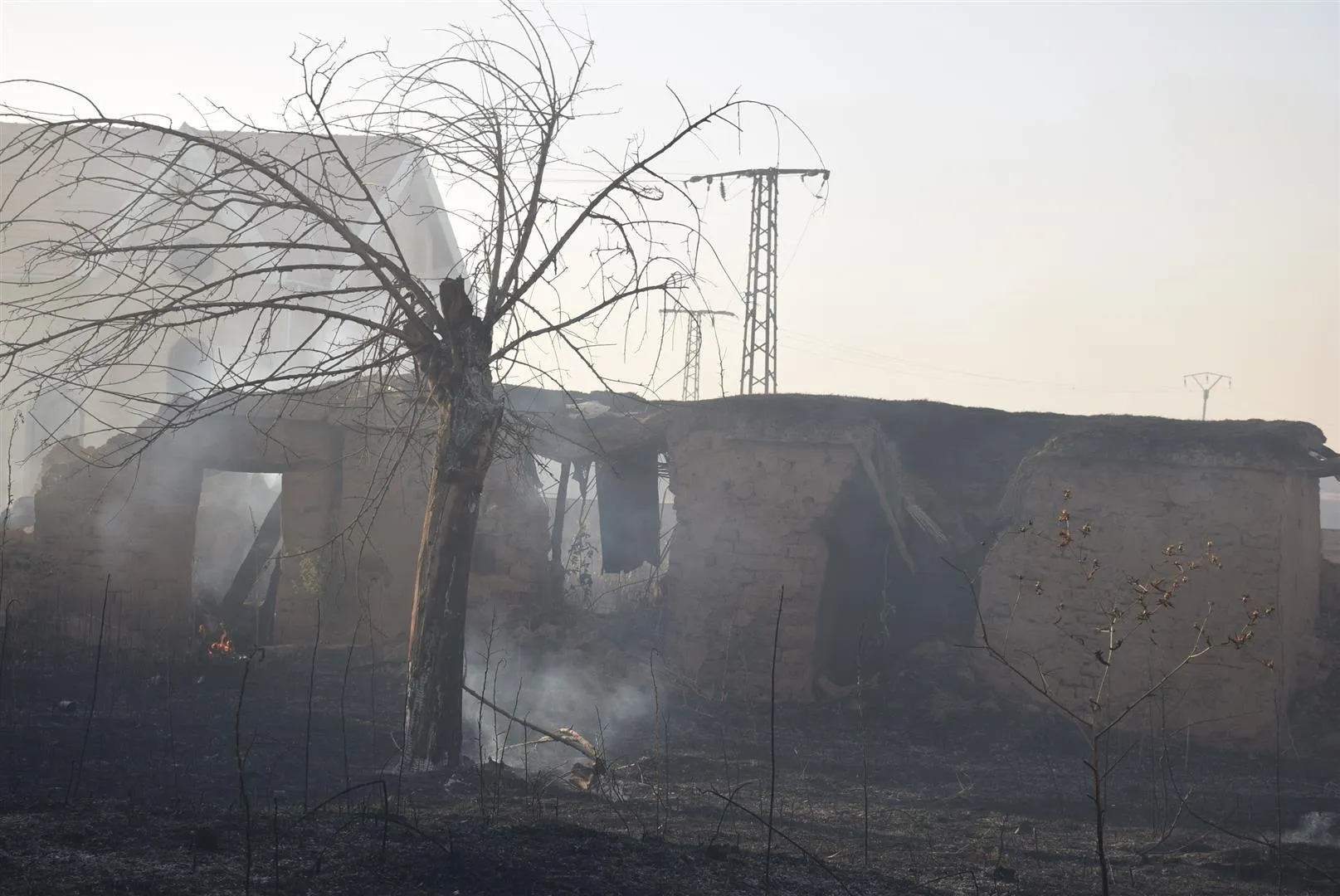 Turkish occupation, its gangs burned thousands dunums in Tel-Tamr