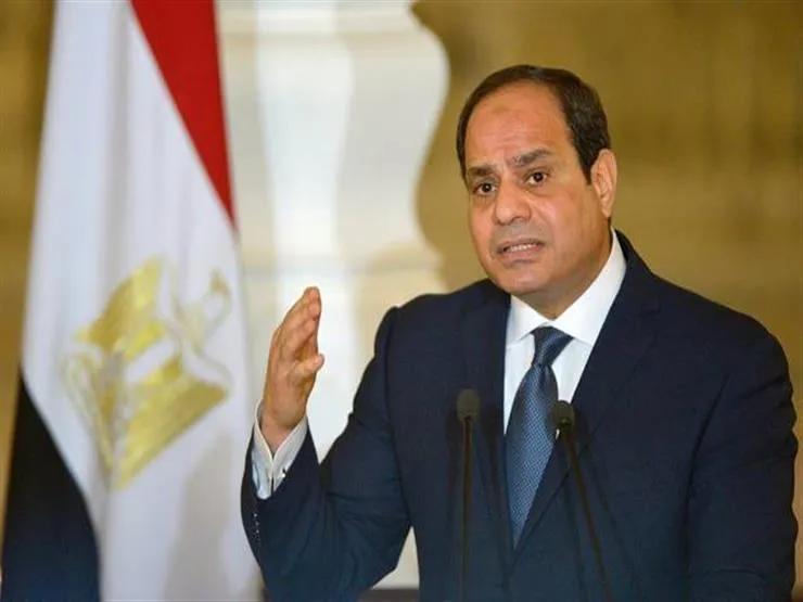 Arab and international countries support al-Sisi's speech on Libya
