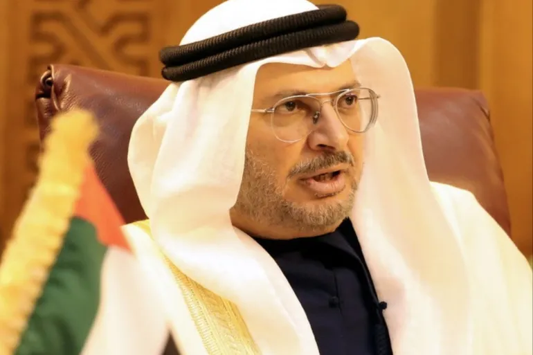 UAE declares its solidarity with France in the face of Turkish aggression