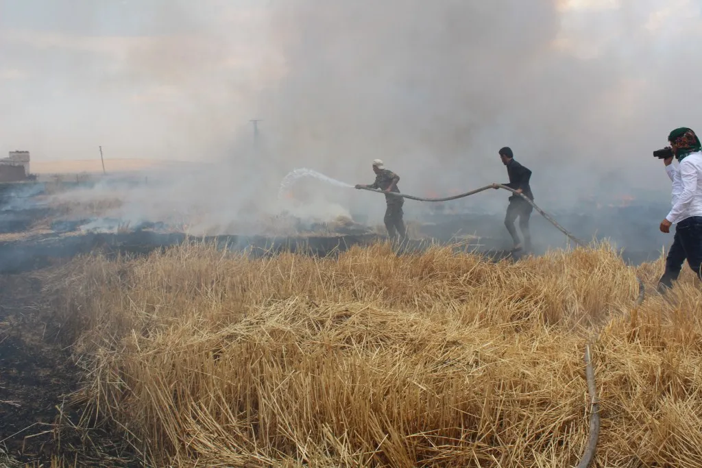 ​​​​​​​Fire devours 50 hectares of agricultural land in Kobane countryside