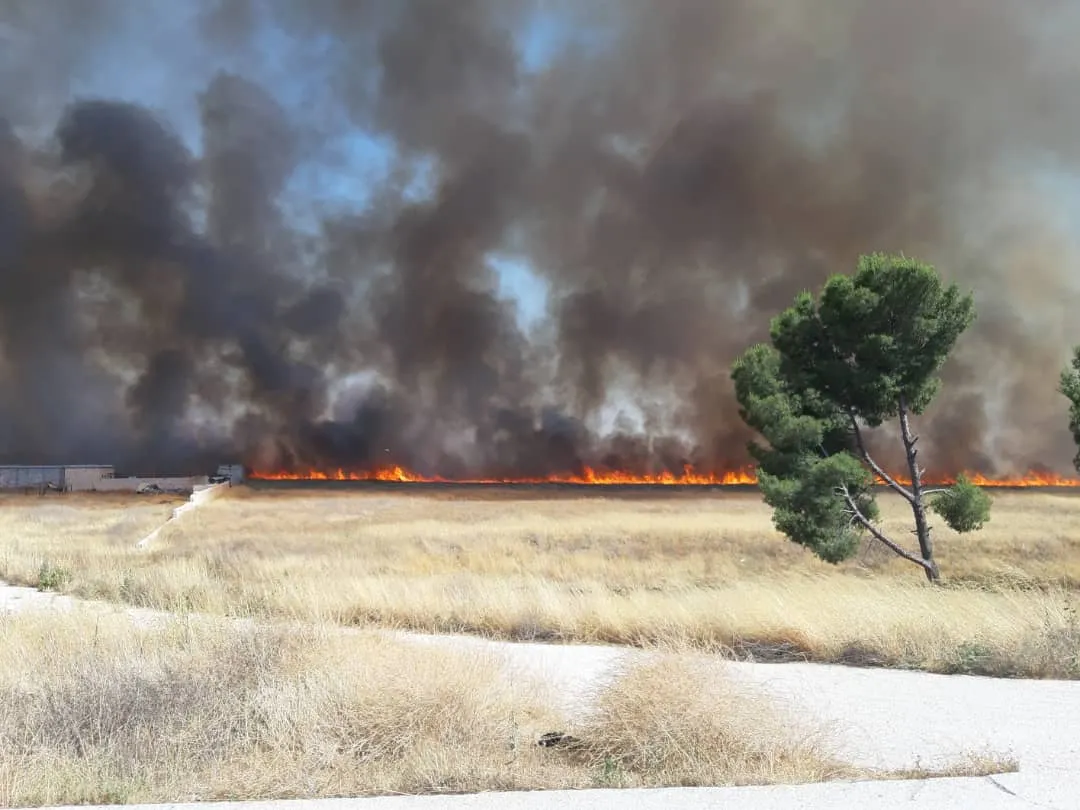 Mercenaries burns 30 hectares in Al-Bab countryside