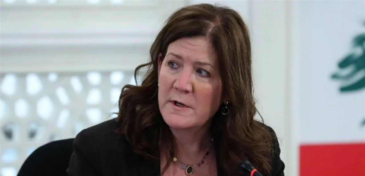US ambassador to Lebanon: Billions of dollars went to "Party", rather than treasury