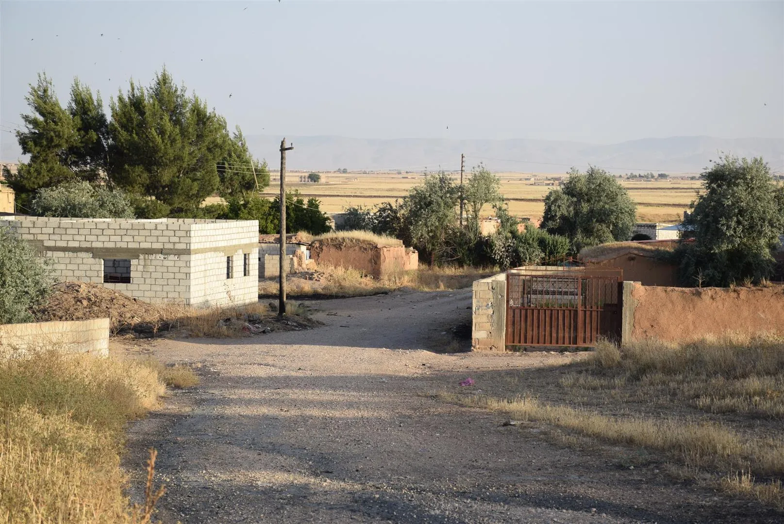 ​​​​​​​People of Tel Tamr countryside: Occupation targets civilians