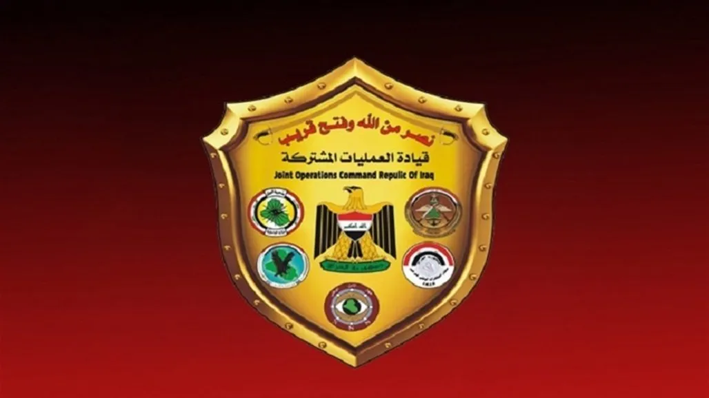Joint operations: 10 land and four seaports are now fully protected