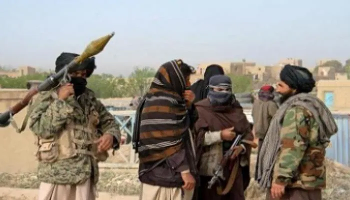 3 Taliban militants, including two leaders, were killed in N Afghanistan