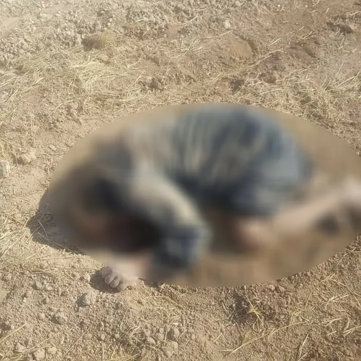 Turkish mercenaries kill a citizen from Girê Spî