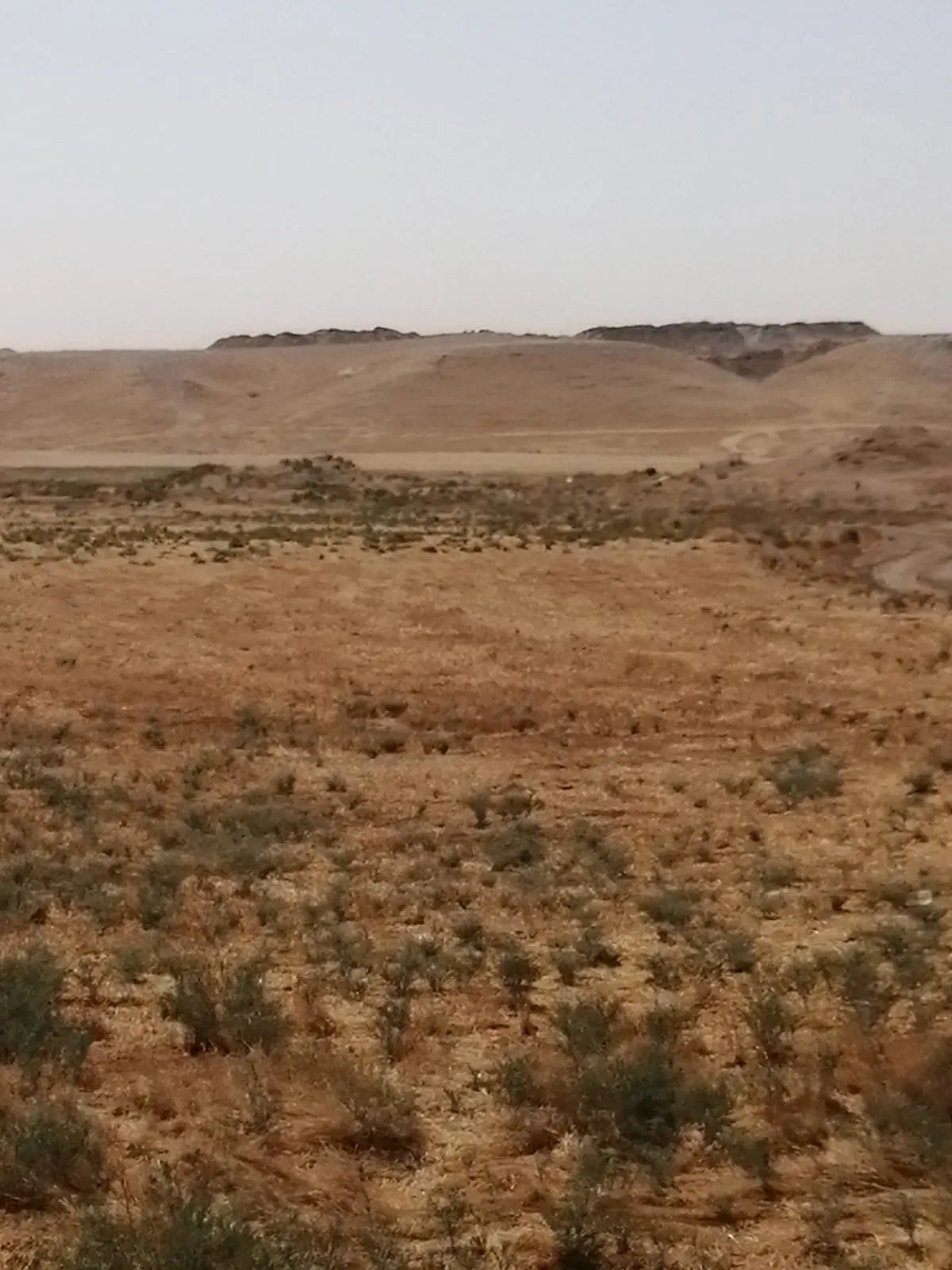 Turkish occupation bulldozes, loots another archaeological site in occupied Girê Spi district