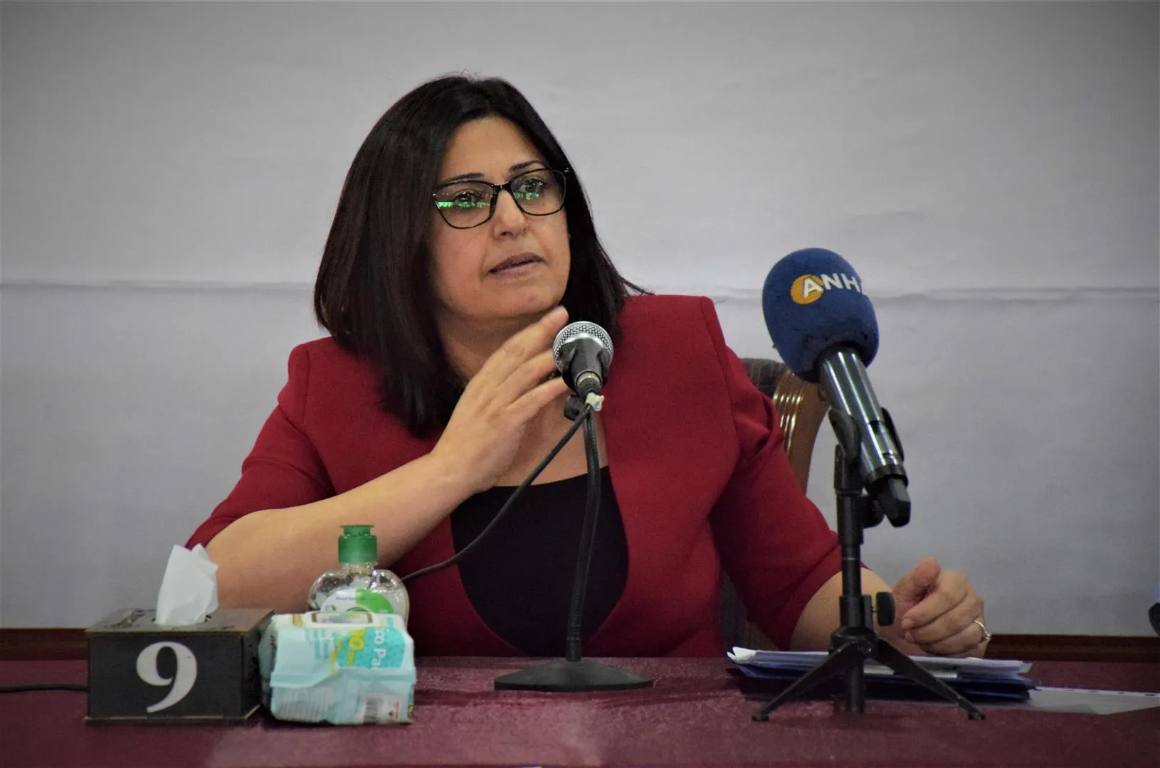 SDC co-chair: Adoption of dialogue blocks way to external intervention