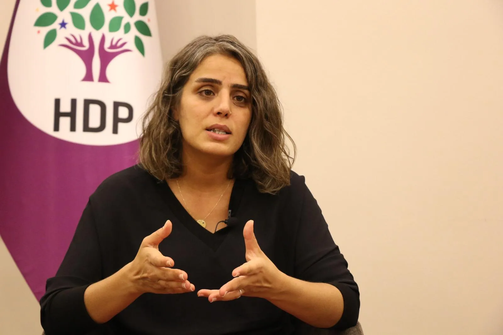 Basharan: Turkish government also attacks co-presidency system