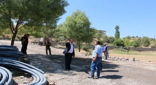 Turkey cuts down Dohuk trees amid Kurdistan Democratic Party silence