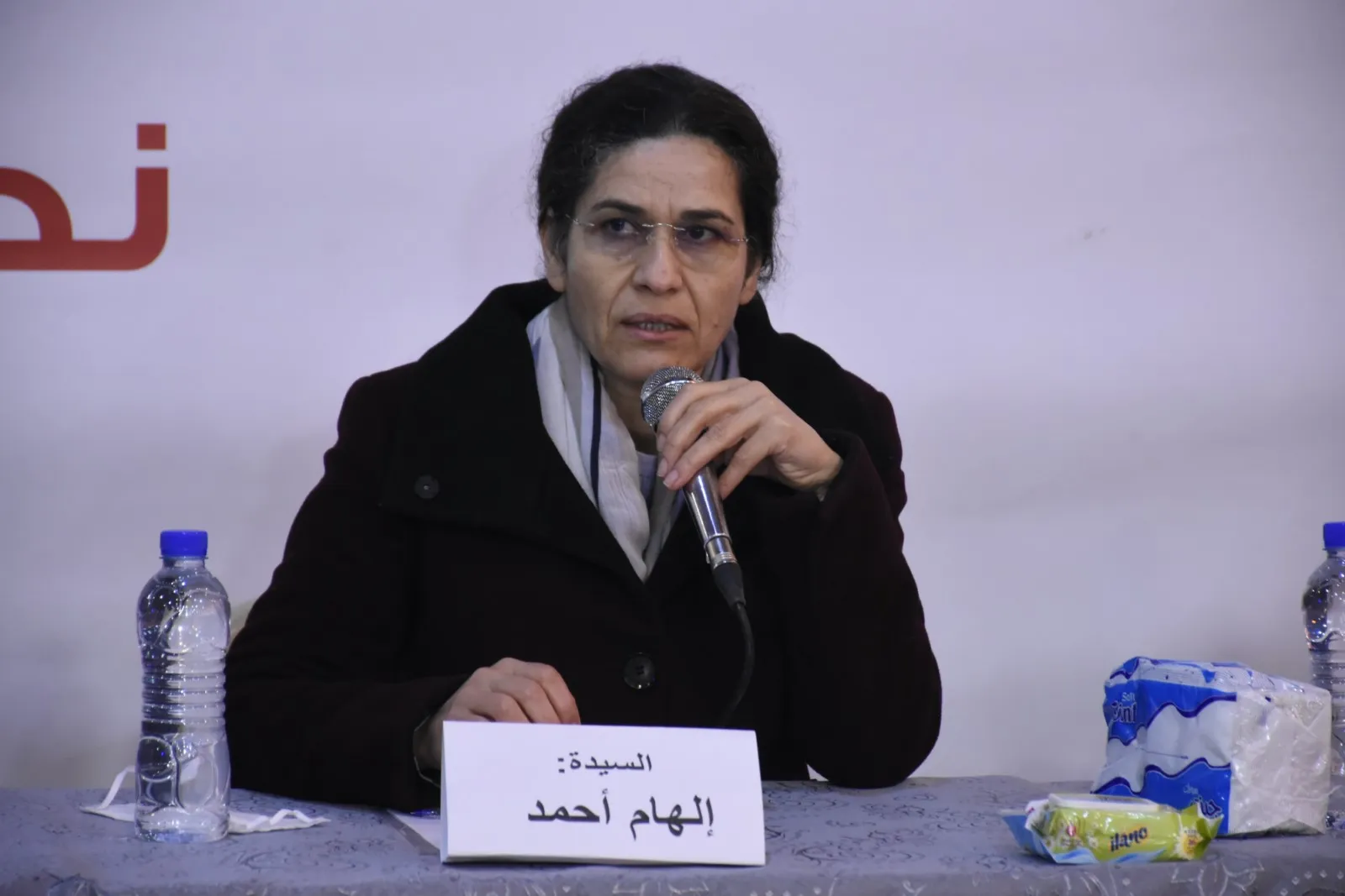 Ilham Ahmed: Components must stand together to face expansionist Turkish policy
