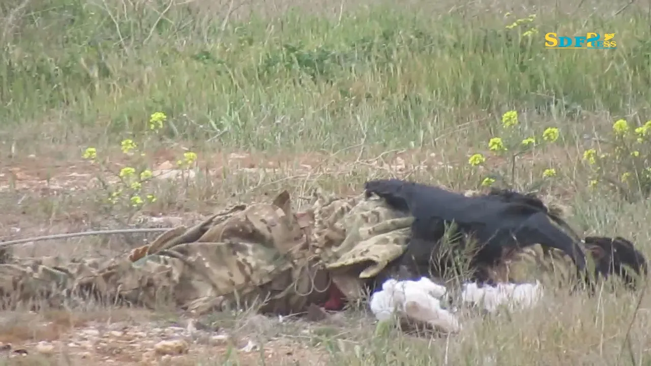 Military Source: mercenary bodies in SDF control