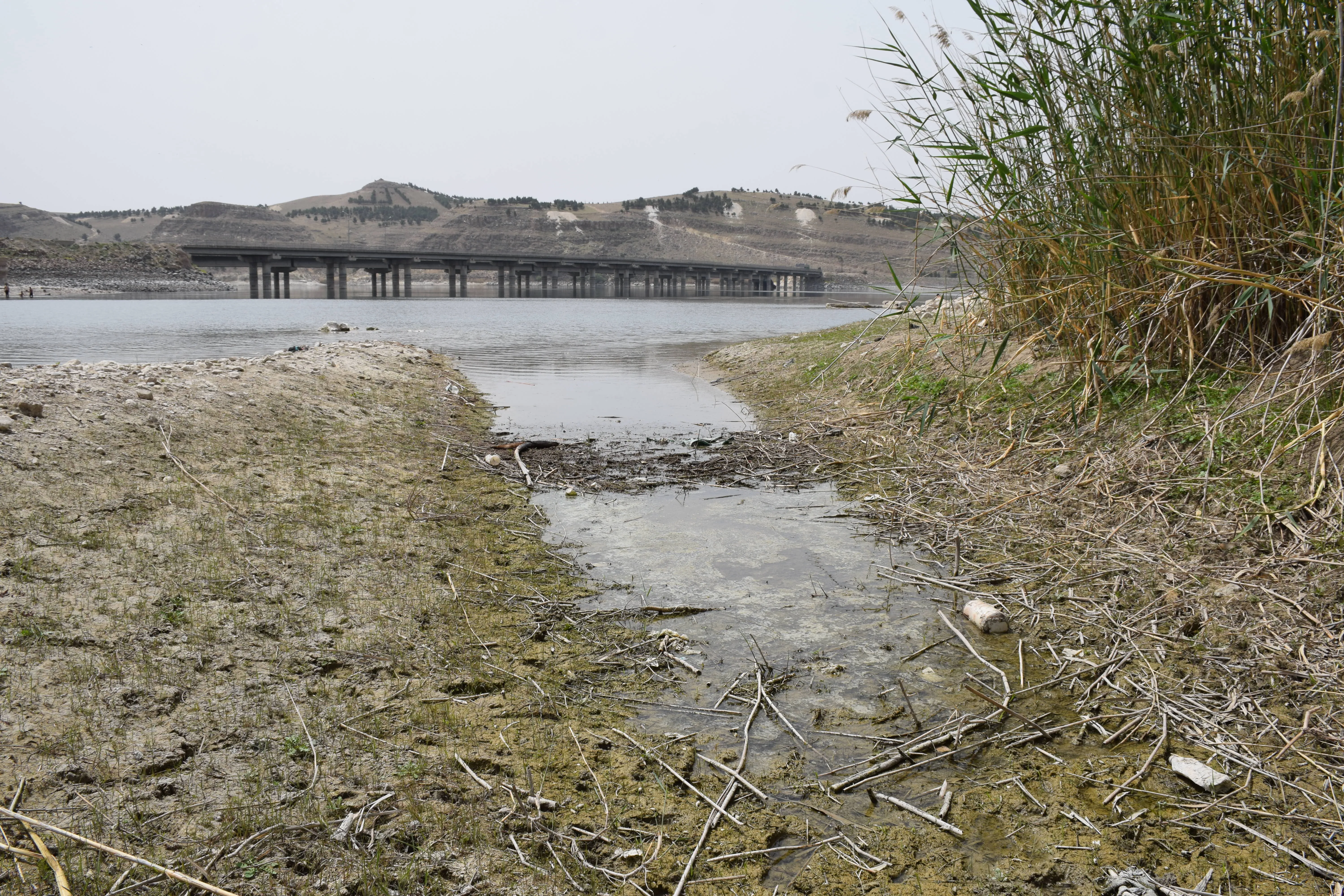 Pollution hits Euphrates.. imminent humanitarian catastrophe