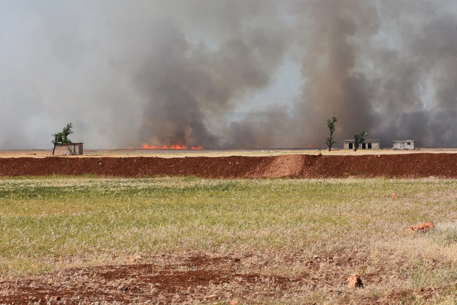 Basim Othman: “Turkish occupation burns agricultural crops as it did last year”