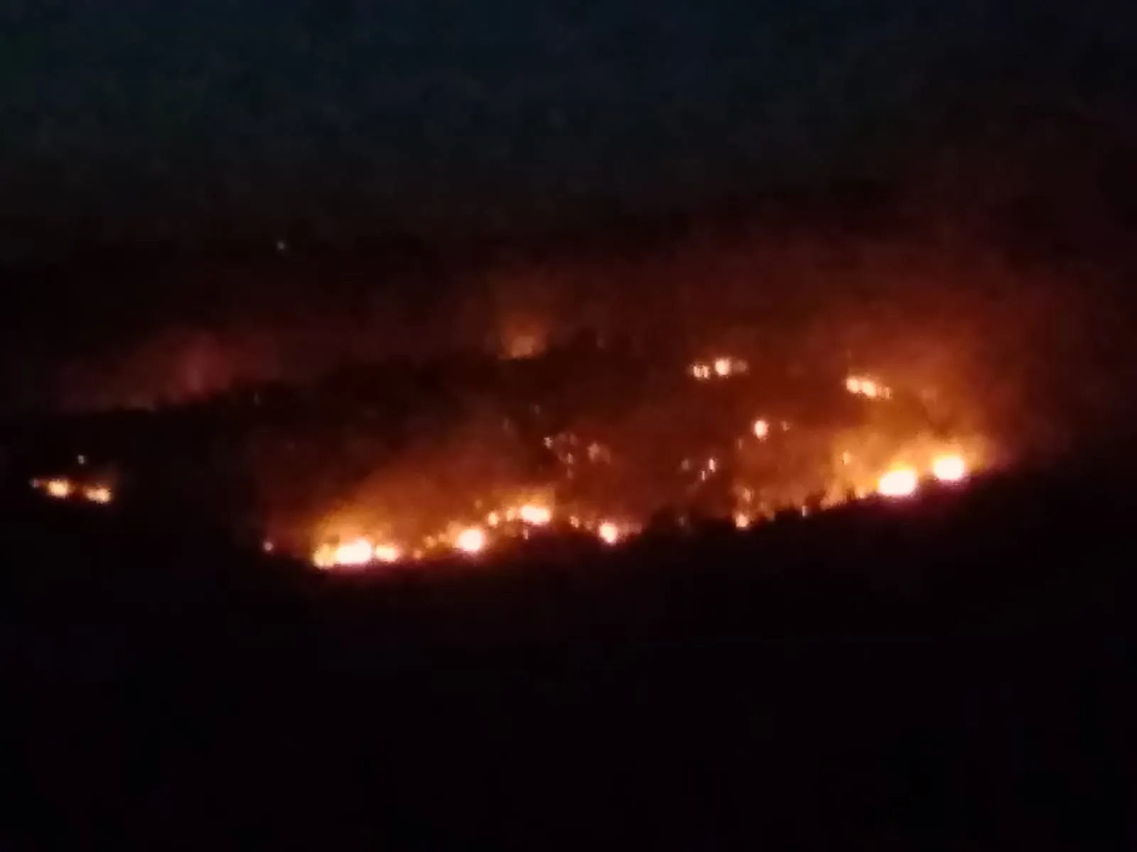 ​​​​​​​Turkish occupation, mercenaries set fire to forests in occupied Afrin