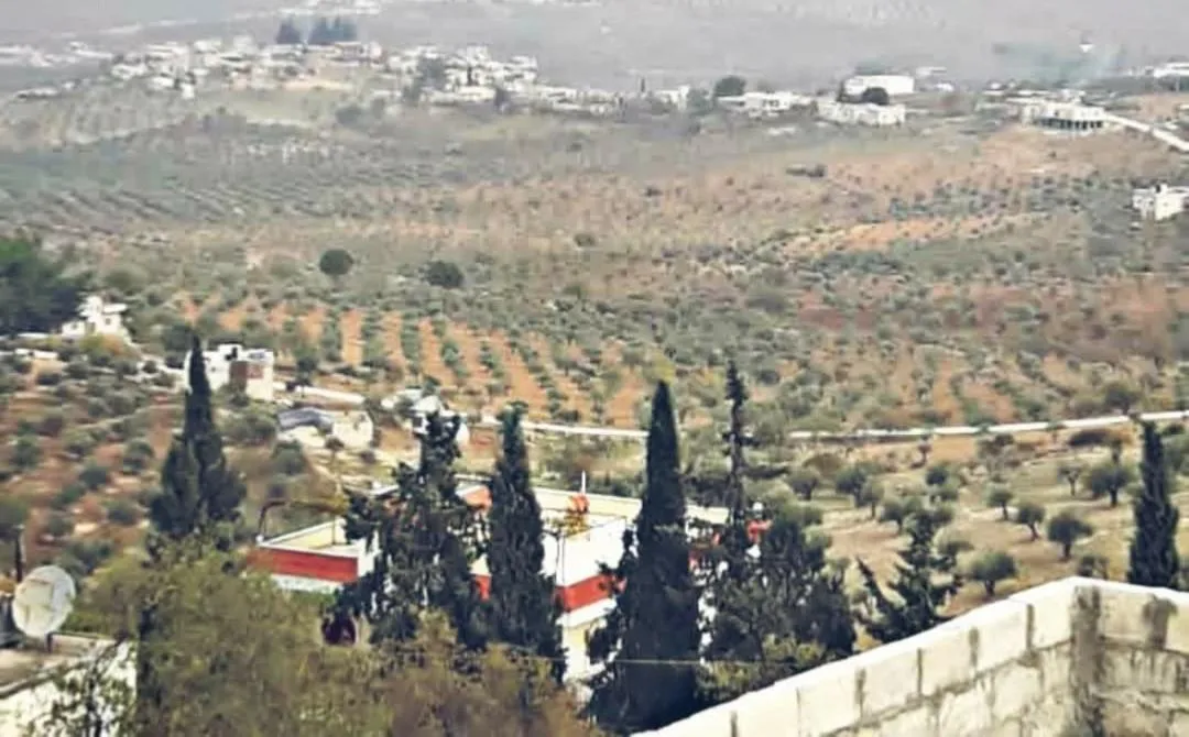 Turkey's mercenaries cut down 1,500 olive trees out of revenge against their owner