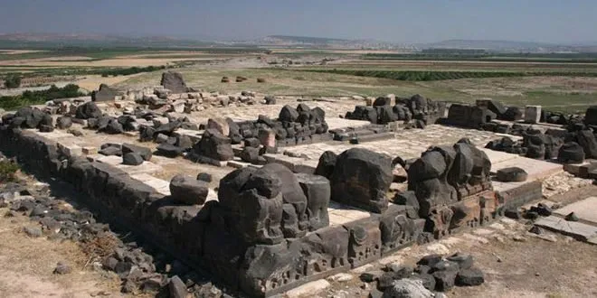 Calls made to protect Afrin heritage