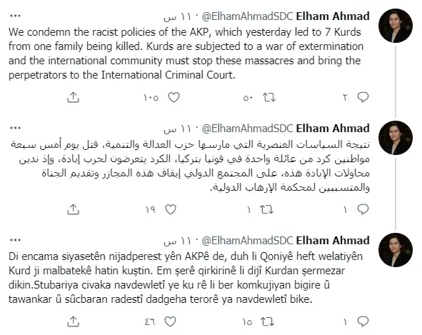 Elham Ahmed: 'Kurds are subjected to a war of extermination'