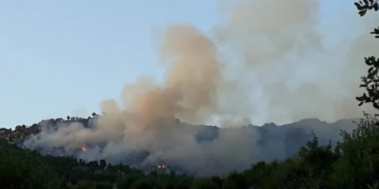 ​​​​​​​Turkish occupation forces shell Zakho
