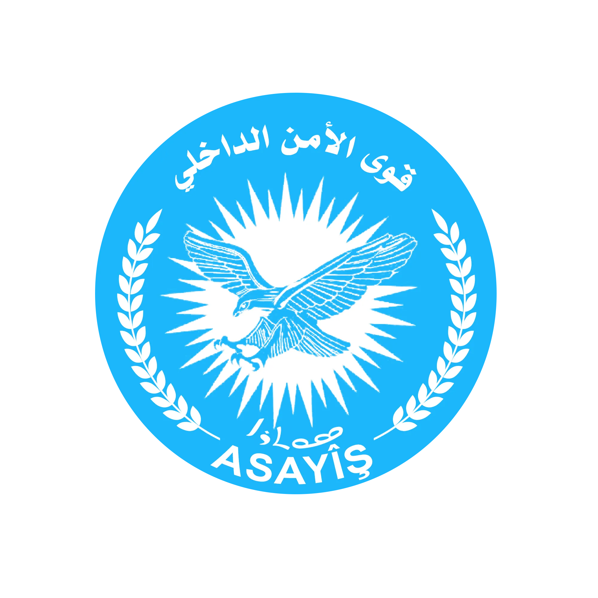 ​​​​​​​Internal Security reveals shocking truth about Roken Mahmoud's murder on Abyad road