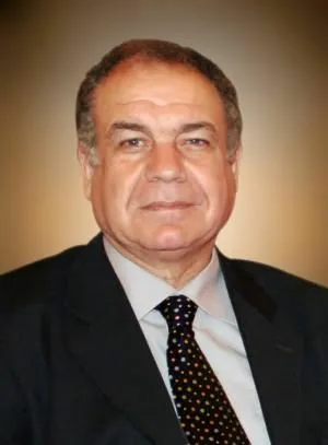 ​​​​​​​Egyptian politician: No alternative to Arab-Kurdish unity to liberate land from Turkey