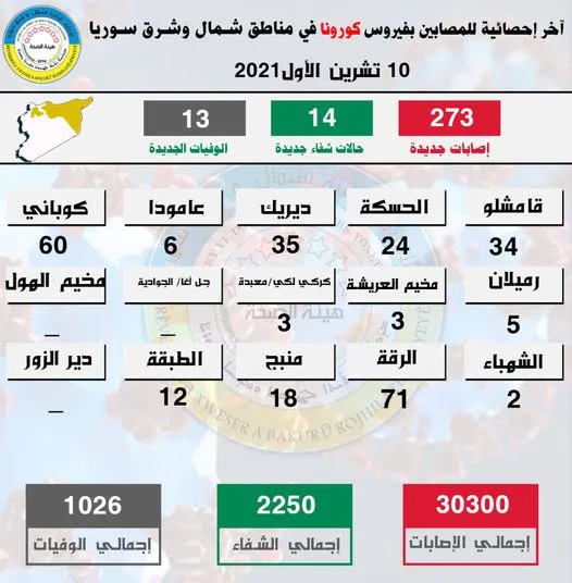 13 deaths, 273 new COVID 19 cases in NE, Syria