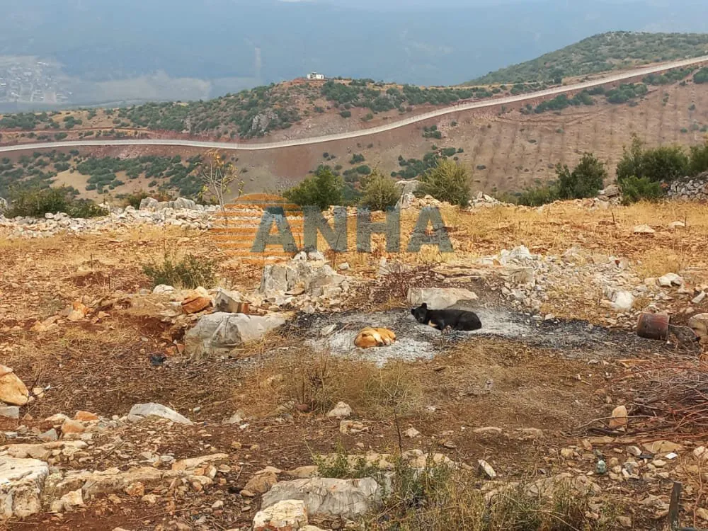 Turkey's colonial plans unfold in occupied Afrin