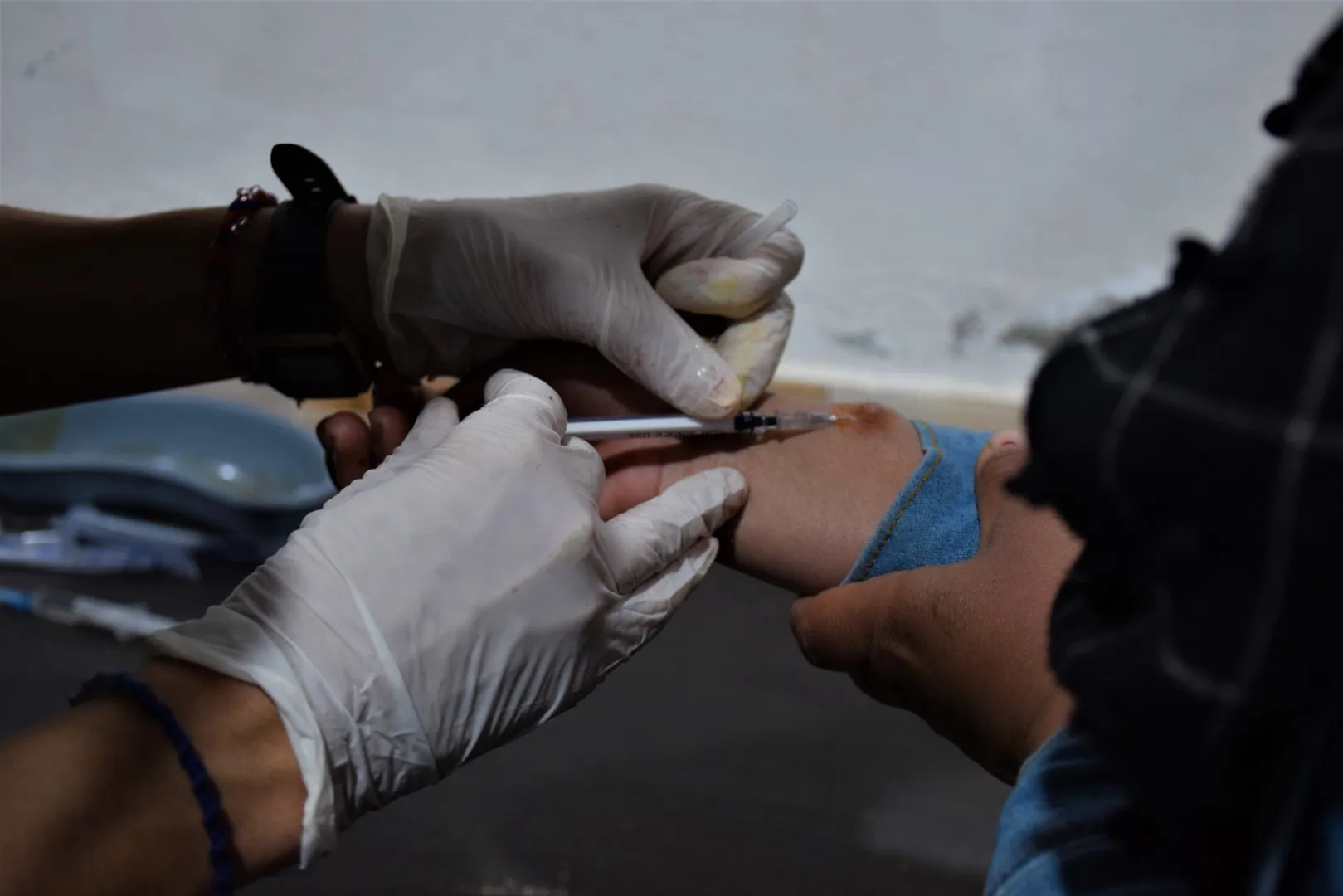 The occupied areas turn into a focus for the spread of Leishmaniosis