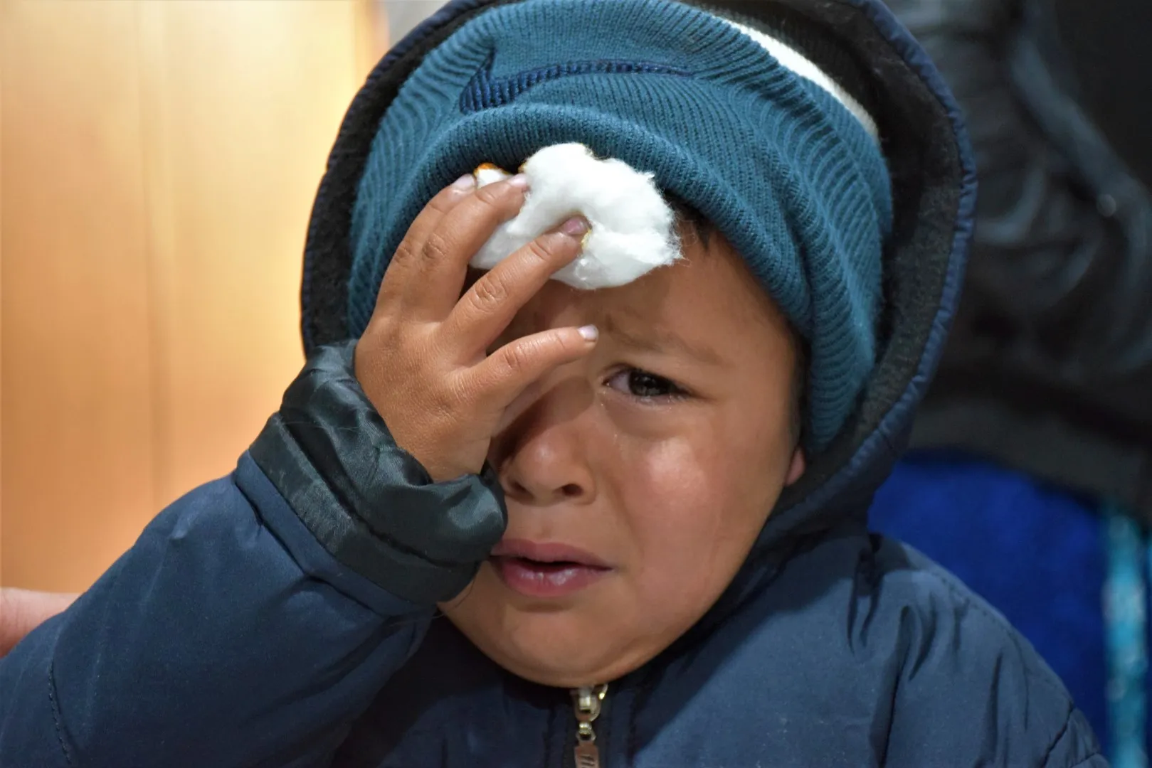 The occupied areas turn into a focus for the spread of Leishmaniosis