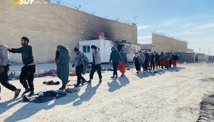 ​​​​​​​SDF: Another ISIS mercenaries surrendered