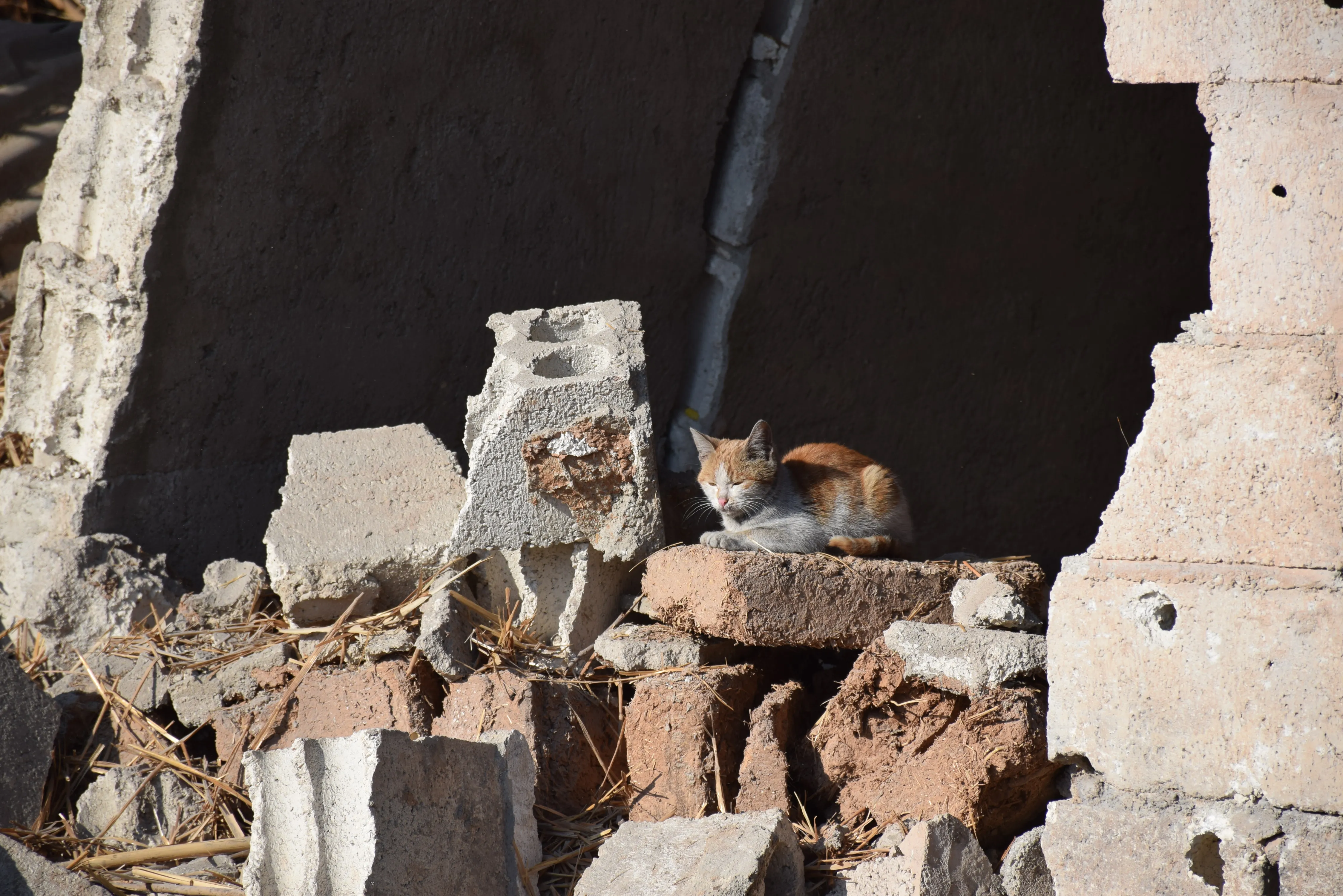 Zarghan people condemn Turkish attacks and confirm home staying