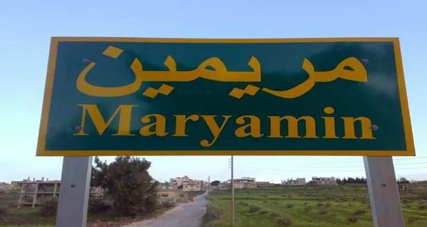​​​​​​​Turkish occupation mercenaries cut down 500 olive trees in Mremeen village in Afrin