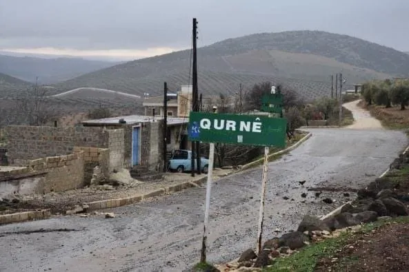 Turkish occupation mercenaries seize (75) trees in Bulbul district