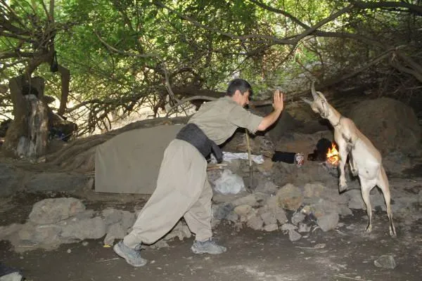 Deir Ezzor people: PKK's proposals advocate equality
