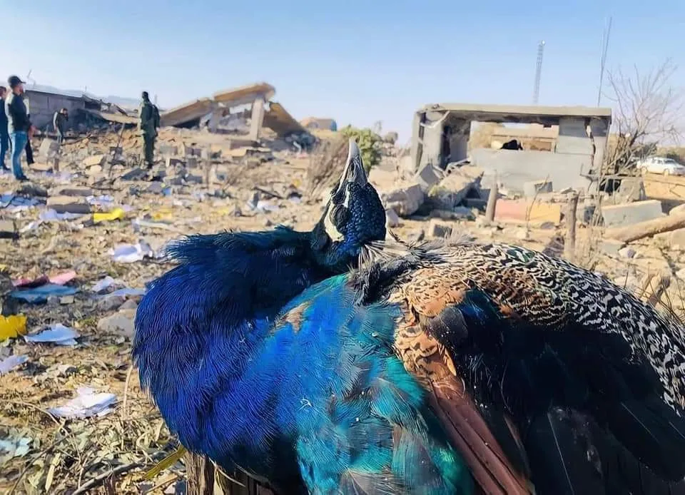 More than 21 Turkish air attacks on Şengal to complete genocide attacks