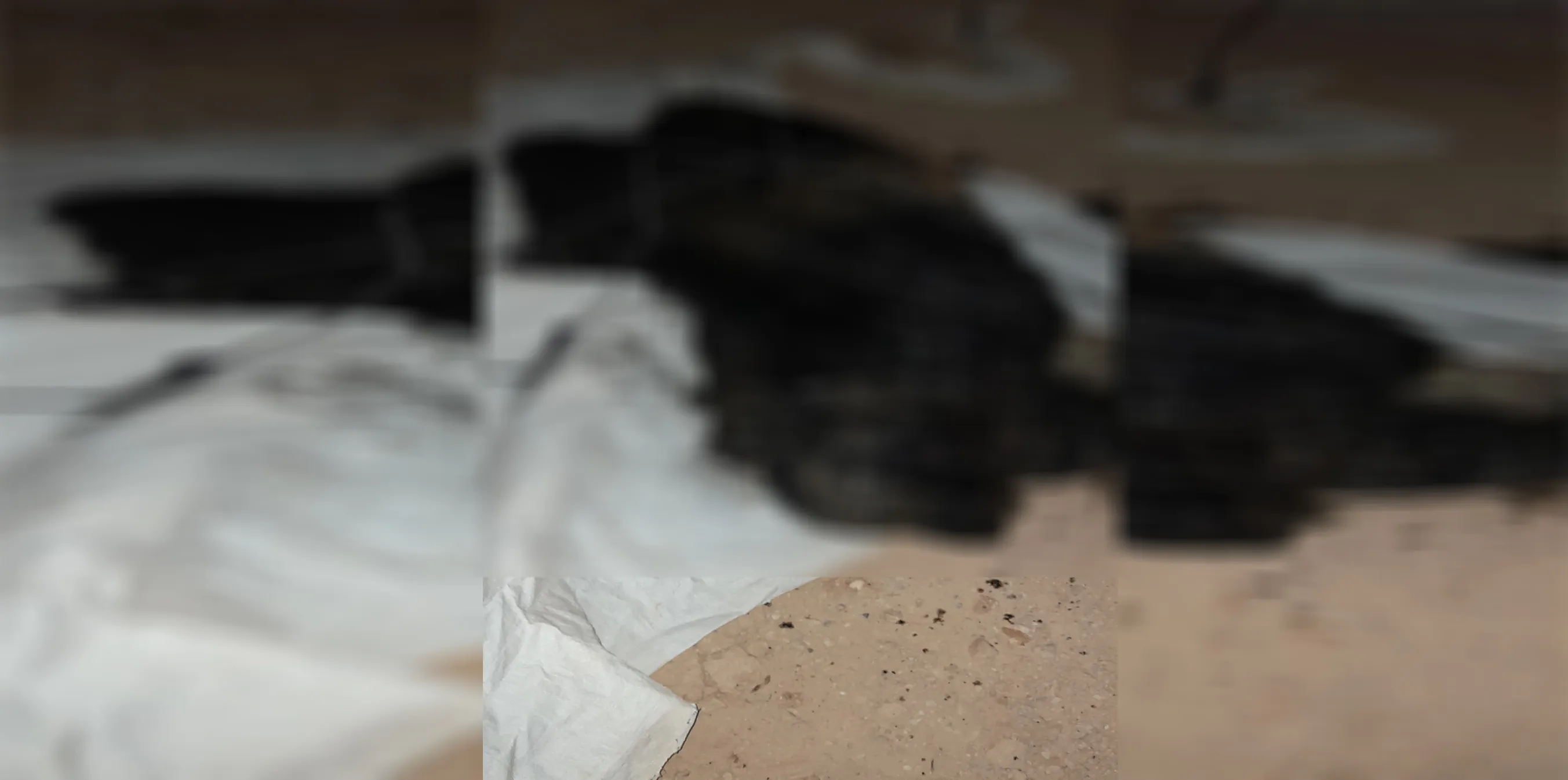 ​​​​​​​Body of murdered woman was found in Al-Hol camp