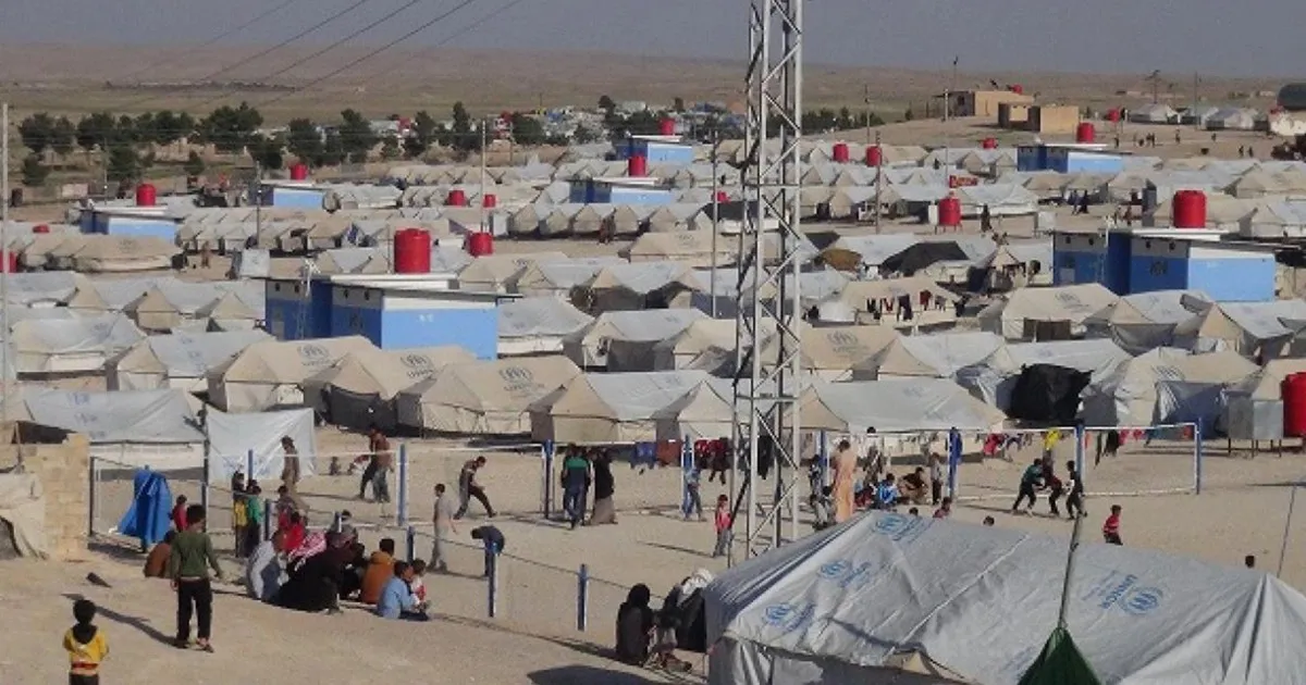 Decapitated body found in Al-Hol camp