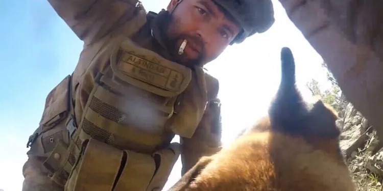 Turkish soldiers attach explosives to dog and sends it into war tunnel