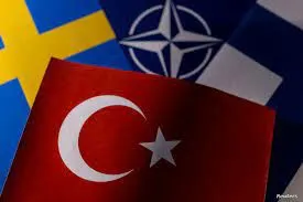 ​​​​​​​Finland and Sweden support for Turkey is losing its democracy