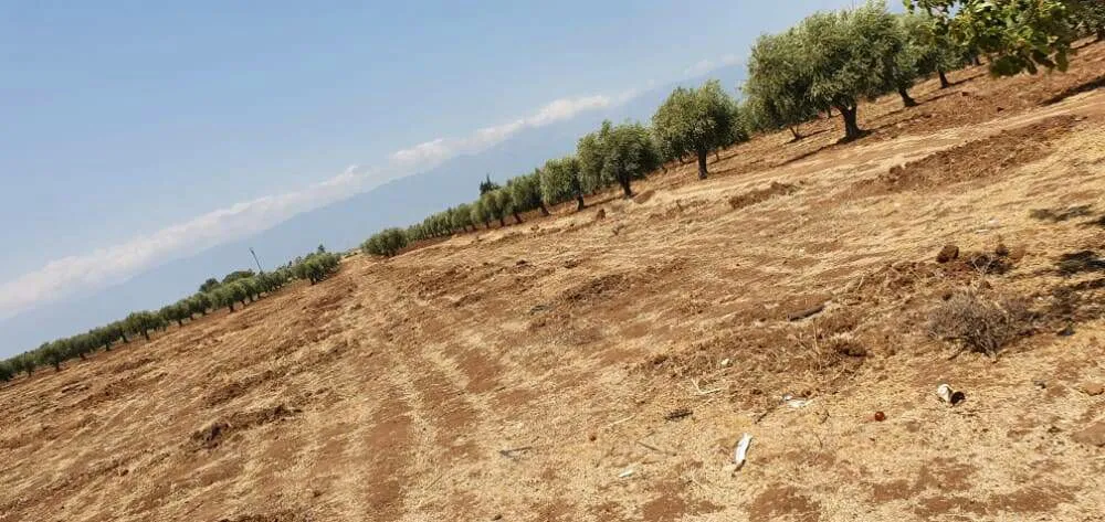 Within week... Turkish occupation intelligence, its mercenaries kidnap 9 citizens, raped young woman