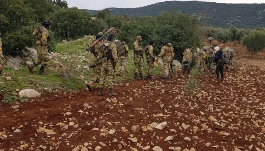 Turkey gangs impose royalties on olive crops in occupied Afrin