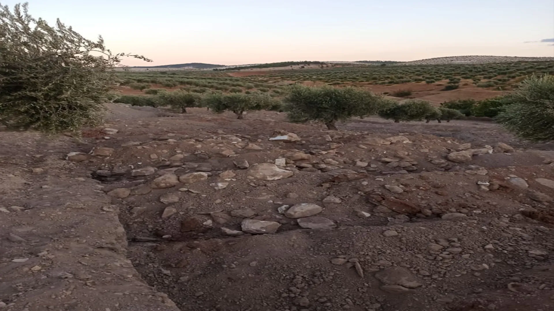 Turkey and its mercenaries continue to loot antiquities in occupied Afrin