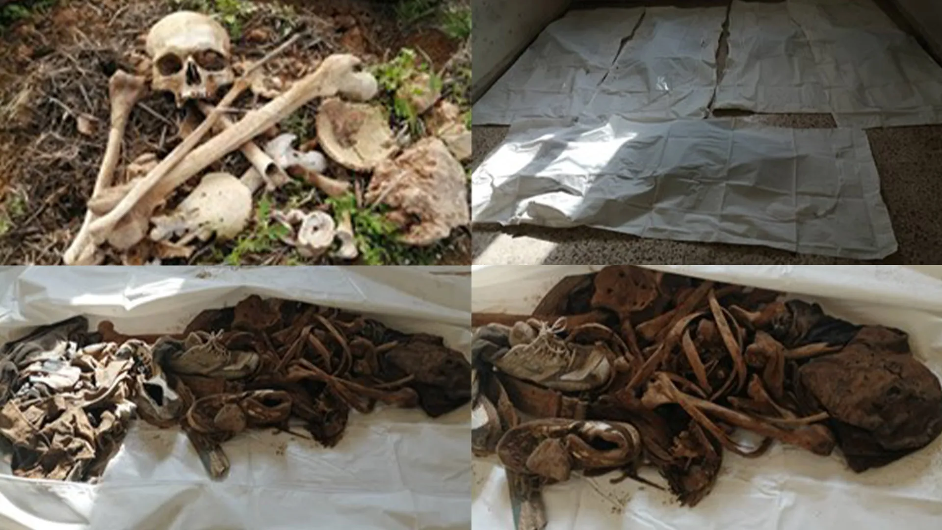 Mass grave of Damascus forces found south of Ain Issa