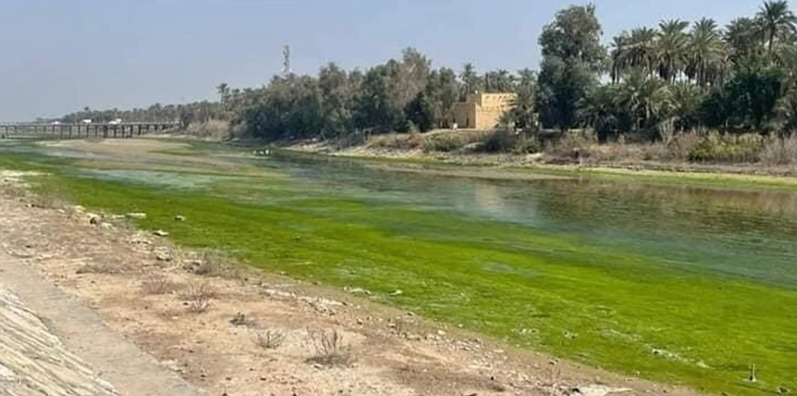 ​​​​​​​Shocking videos show drying up Tigris river as Turkey's dams